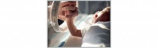 Подразделение патологии новорожденных и недоношенных детей